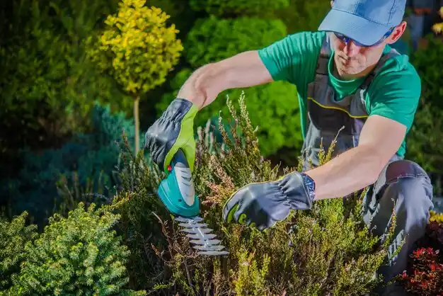 landscaping services Jefferson